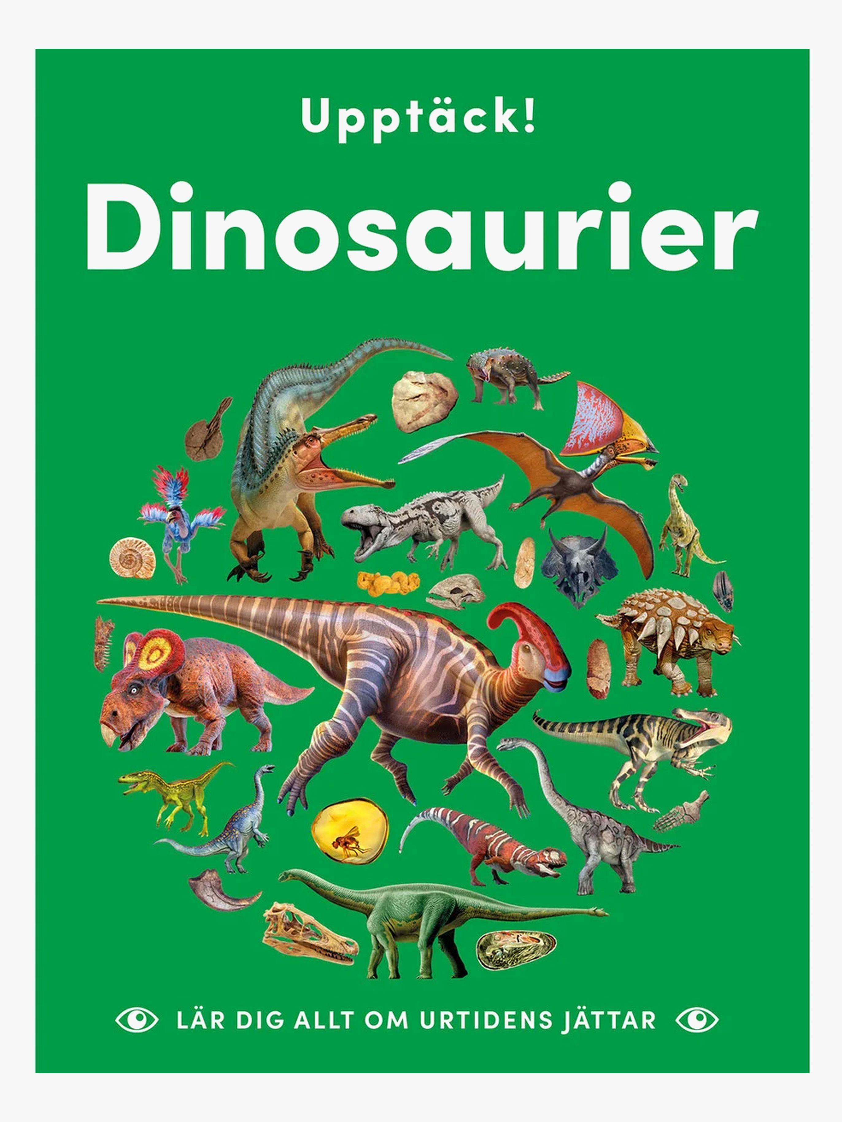 Lind &  Co Upptäck Dinosaurier