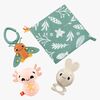 Fisher-Price So Many Senses Presentset