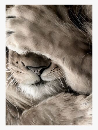 Linn Wold Poster 30x40 Leo