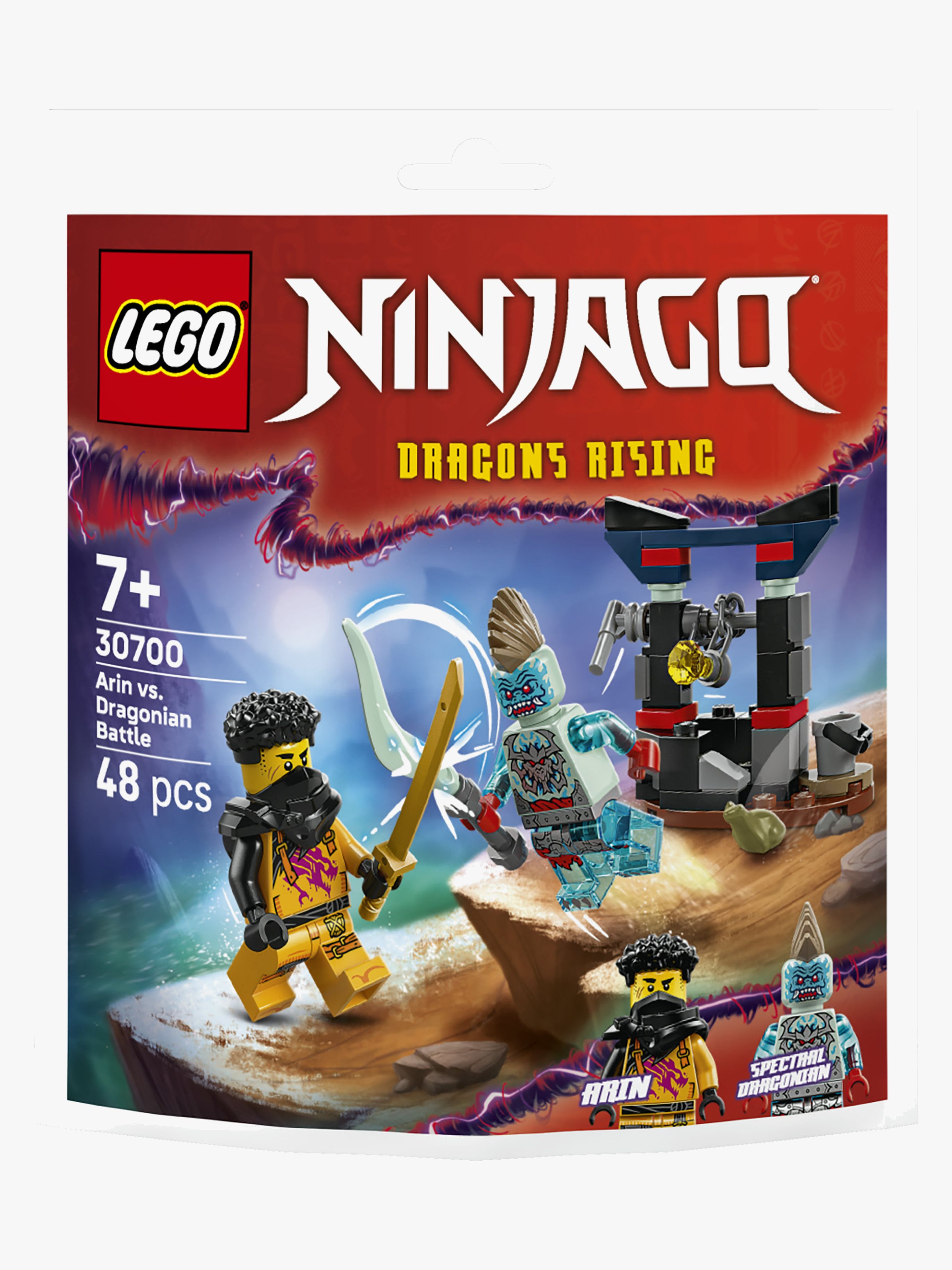 LEGO Ninjago 30700 Arins strid mot dragonier
