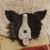 C-DOGS-3530_4a.jpg