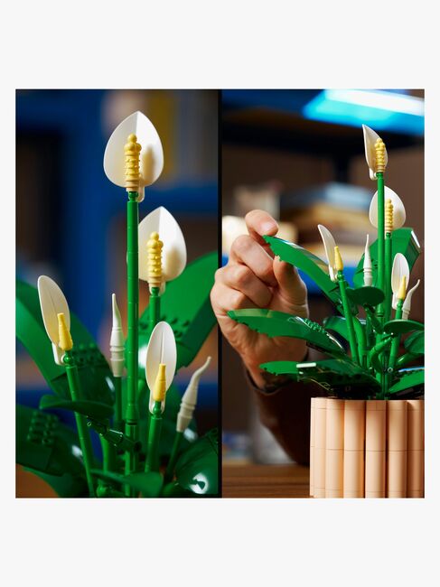 LEGO Botanicals 11504 Fredslilja