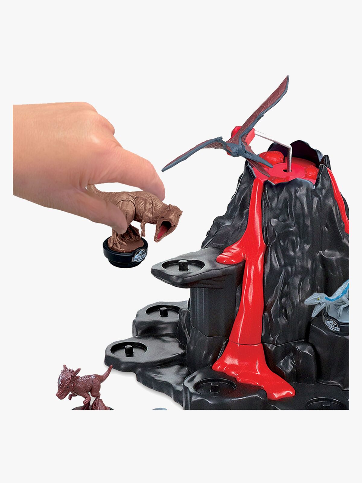 7509-4347_4b.jpg