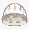 Bieco Sleeping Bear Babygym, Slate