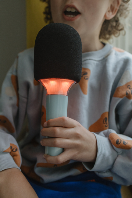 Kidywolf KIDYMIC Karaoke-mikrofon All-in-One, Grön