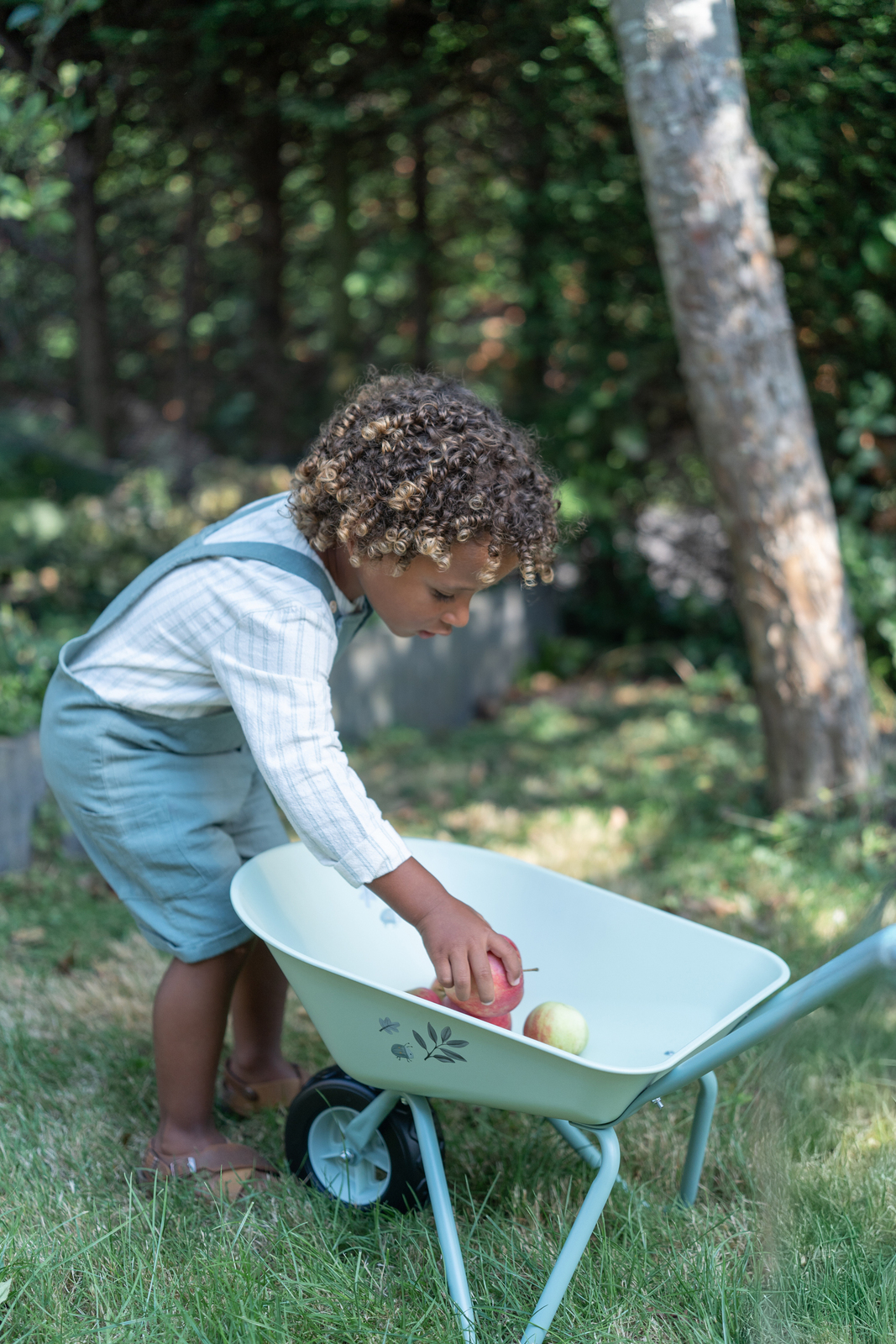 Wheelbarrow-LD9125-4563_4b.jpg