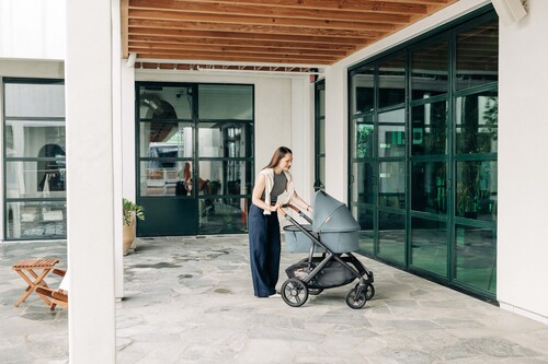 UPPAbaby Vista V3 Duovagn, Dillan