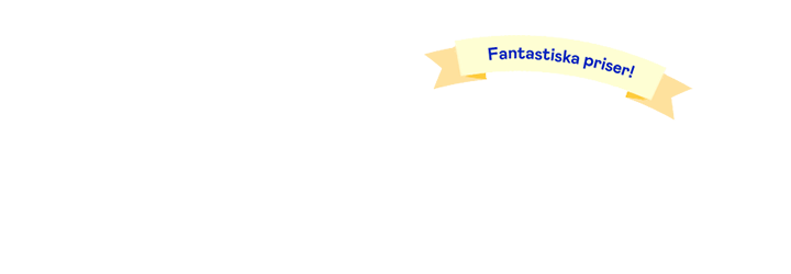 v25_Landningssida_logotyp_720x250_Summerfaves.png