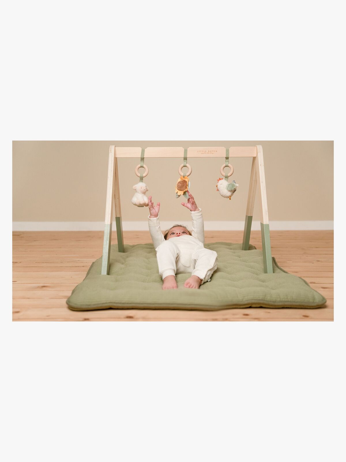BABYGYMW-LD8810-4563_4a.jpg