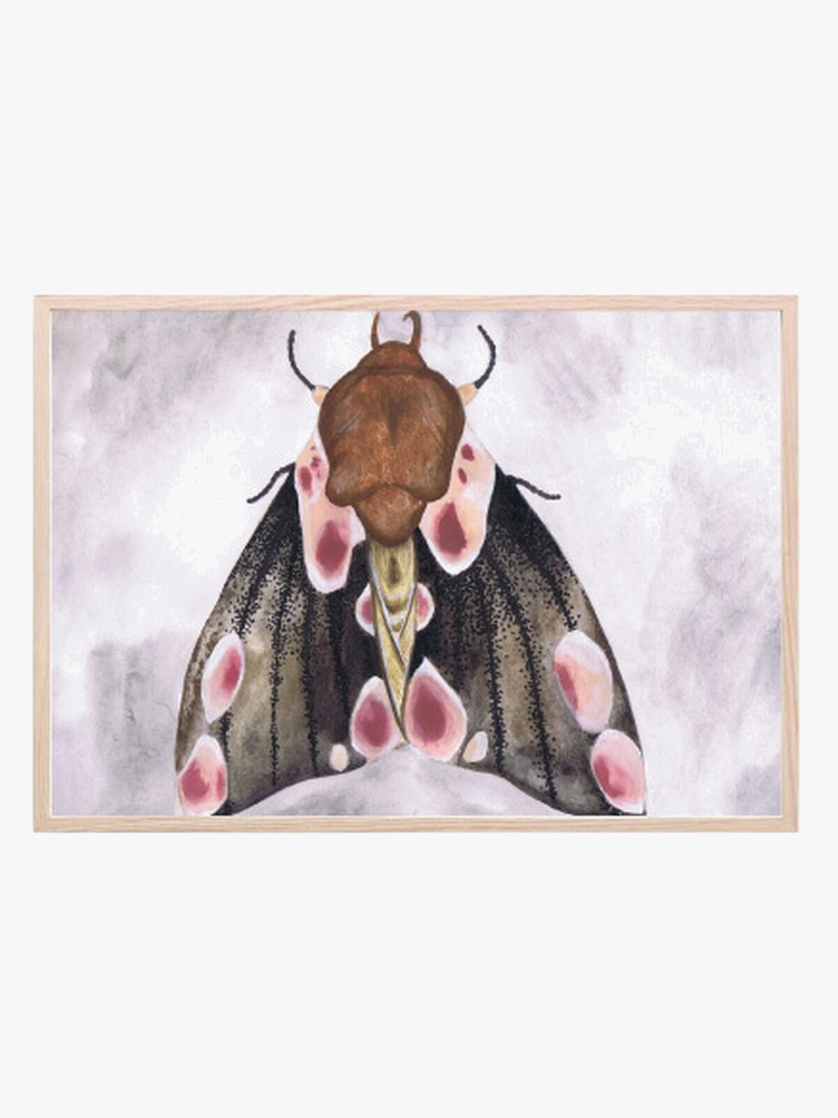 That's Mine Poster A Moth's Beauty 30x40