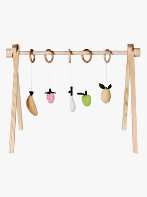 Quax Fruit Aktivitetsleksaker 5 Delar