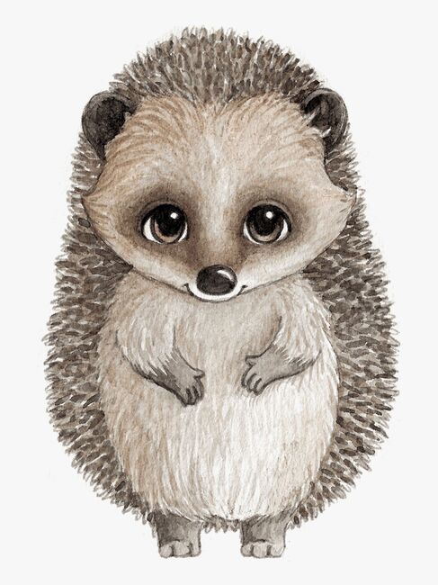 StickStay-HarryTheHedgehog_1.jpg