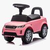 7050323-Pink-2896_1.jpg