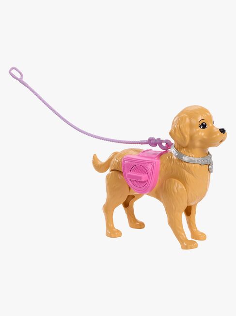 Barbie Family & Friends Malibu Lekset Hundrastning