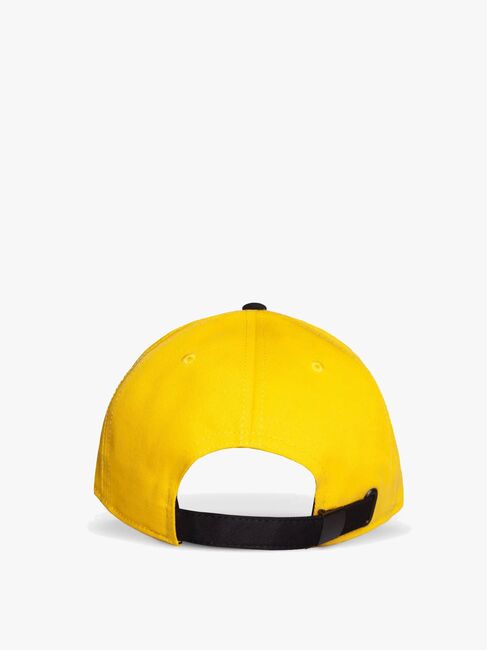 Pokémon Keps, Pokéball Yellow
