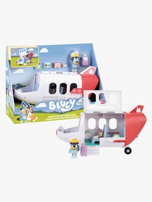 Blueys Flugzeug