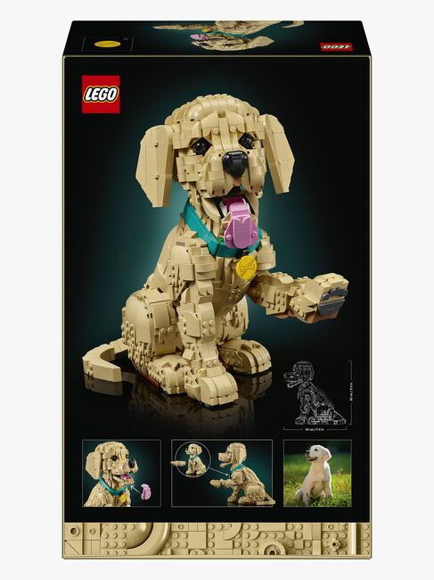 LEGO Icons 11384 Golden Retriever Valp