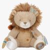 LD8321-lion-4563_1.jpg