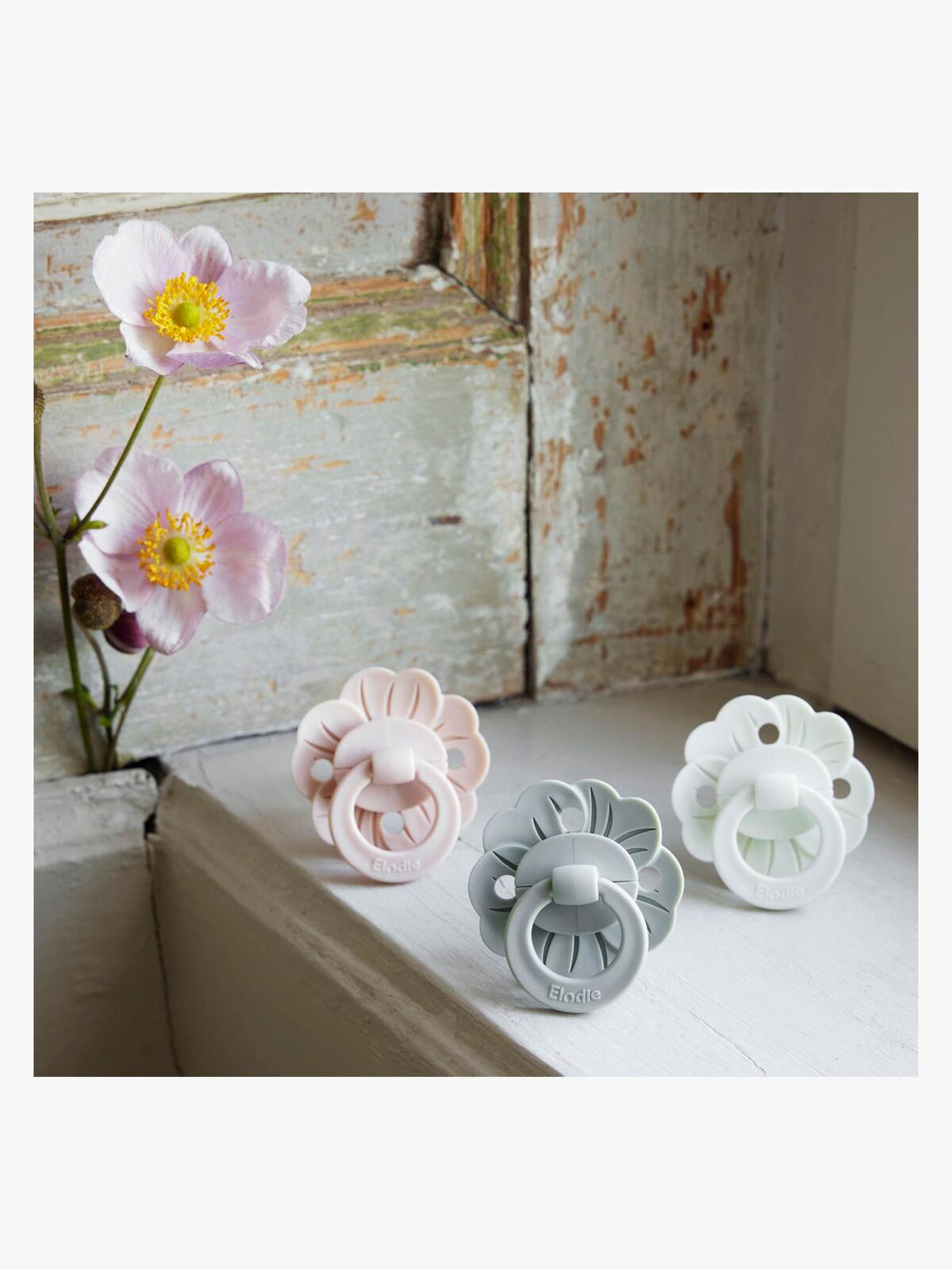 3010710-2102NA-1526_4c.jpg