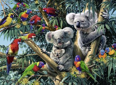Ravensburger Pussel Koalas I Ett Träd 500 Bitar