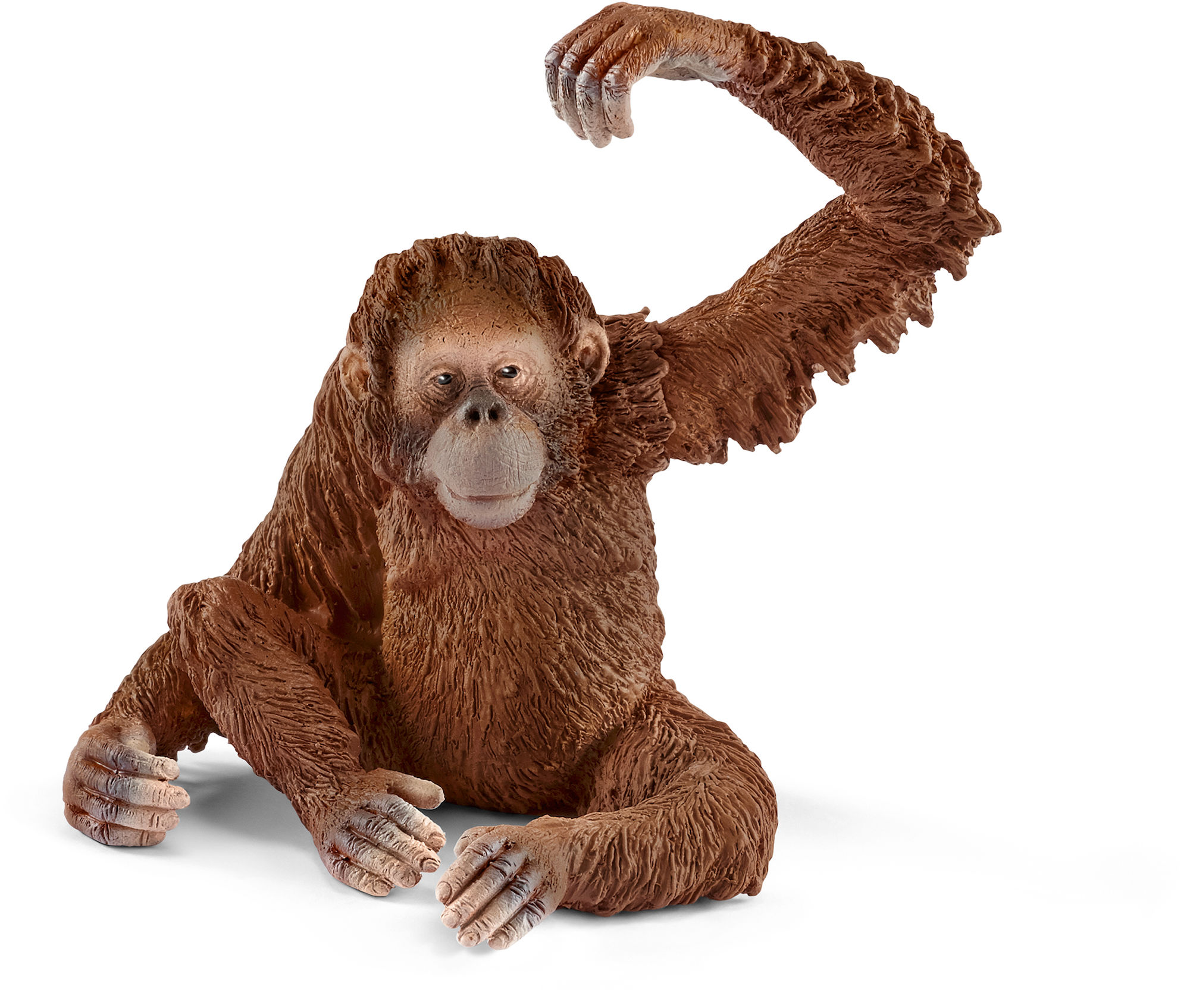 Schleich 14775 Orangutang Hona