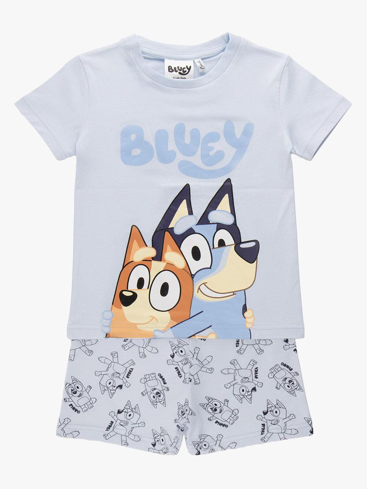 2900003153-BLUEY-4656_1.jpg
