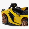 8690019CR-YELLOW-2896_4h.jpg