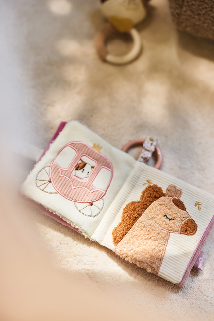 Jollein Multiaktivitetsbok, Flower Fairies