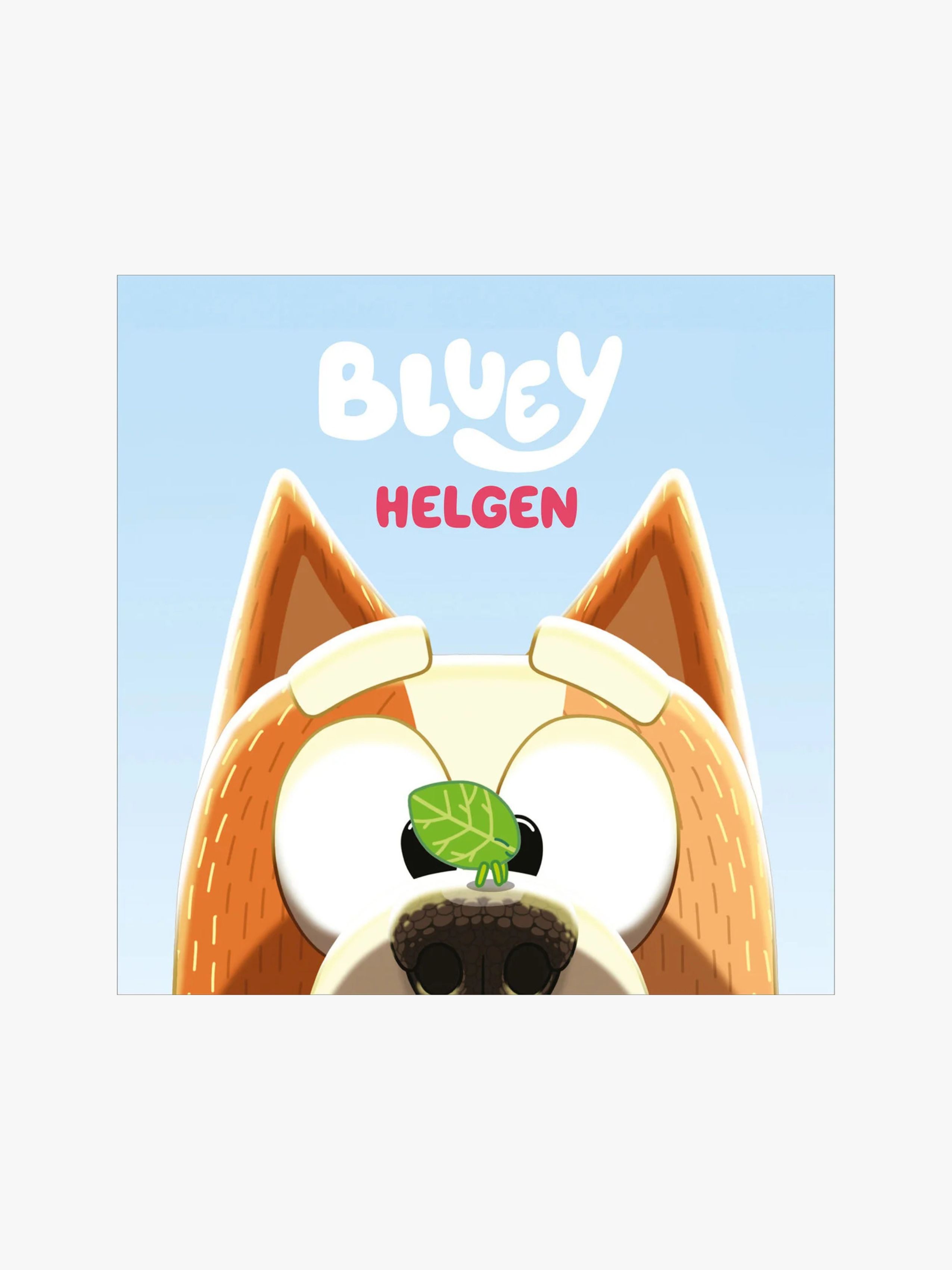 Bluey Barnbok Helgen