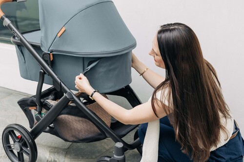 UPPAbaby Vista V3 Duovagn, Dillan