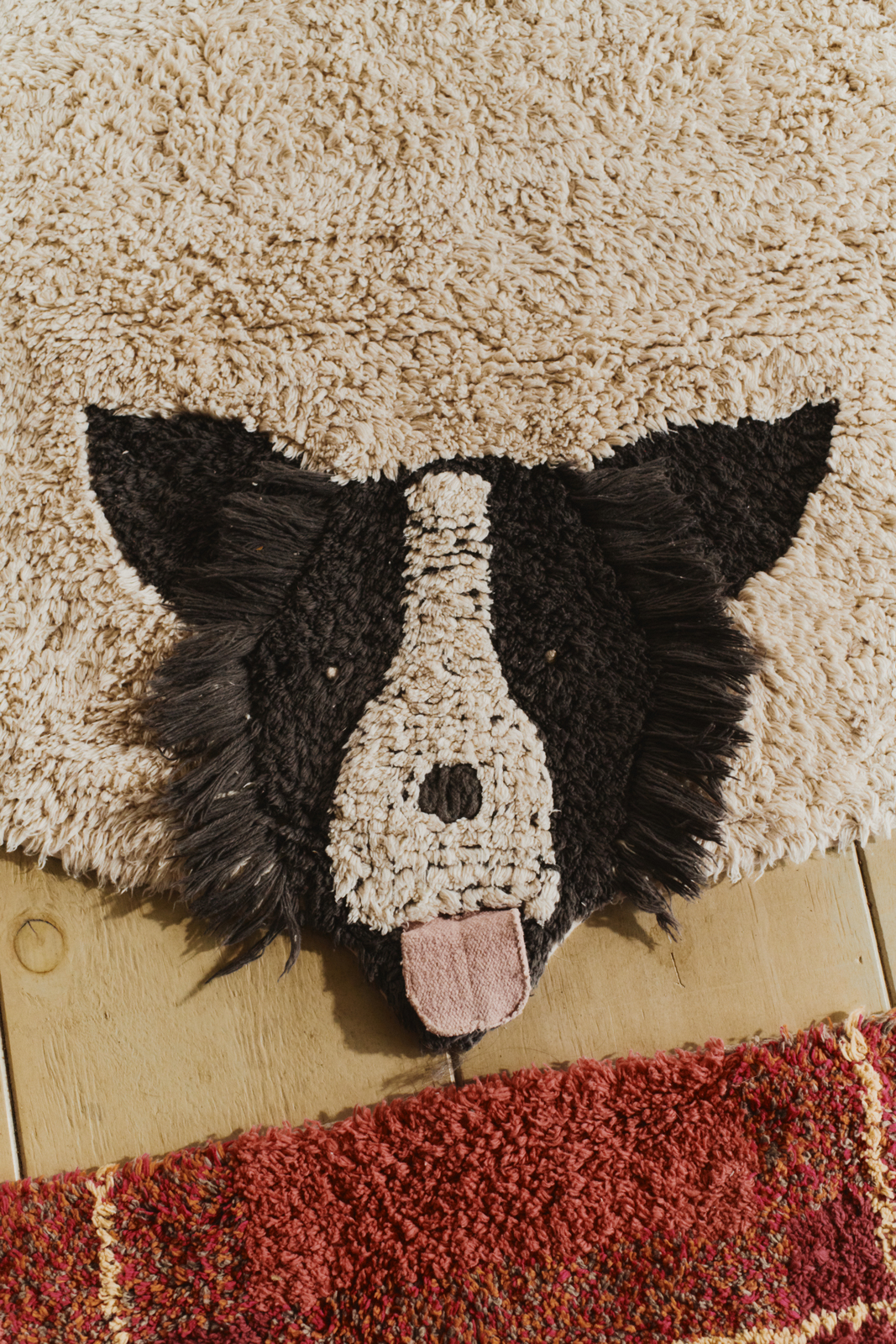 C-DOGS-3530_4a.jpg