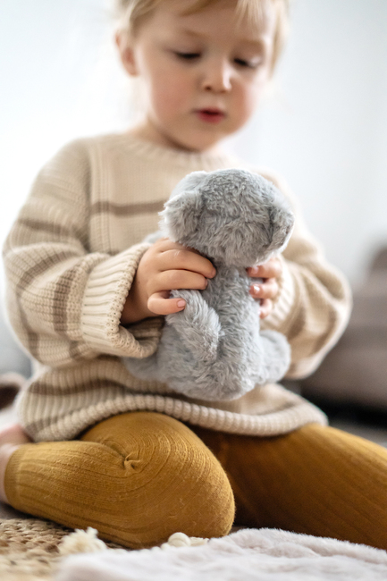 Small Foot Katt med Väska och Skötselset