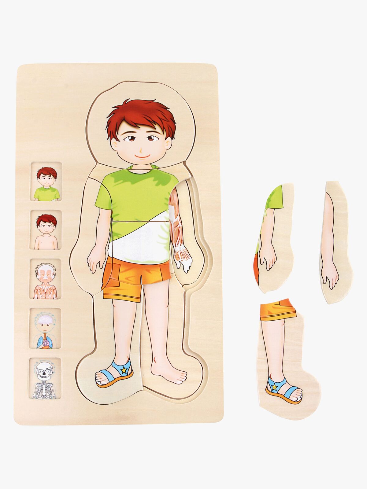 Small Foot Pussel Anatomi, Grön