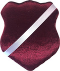 Aquarapid AWP Sheld for Swimming badges, Wine Red