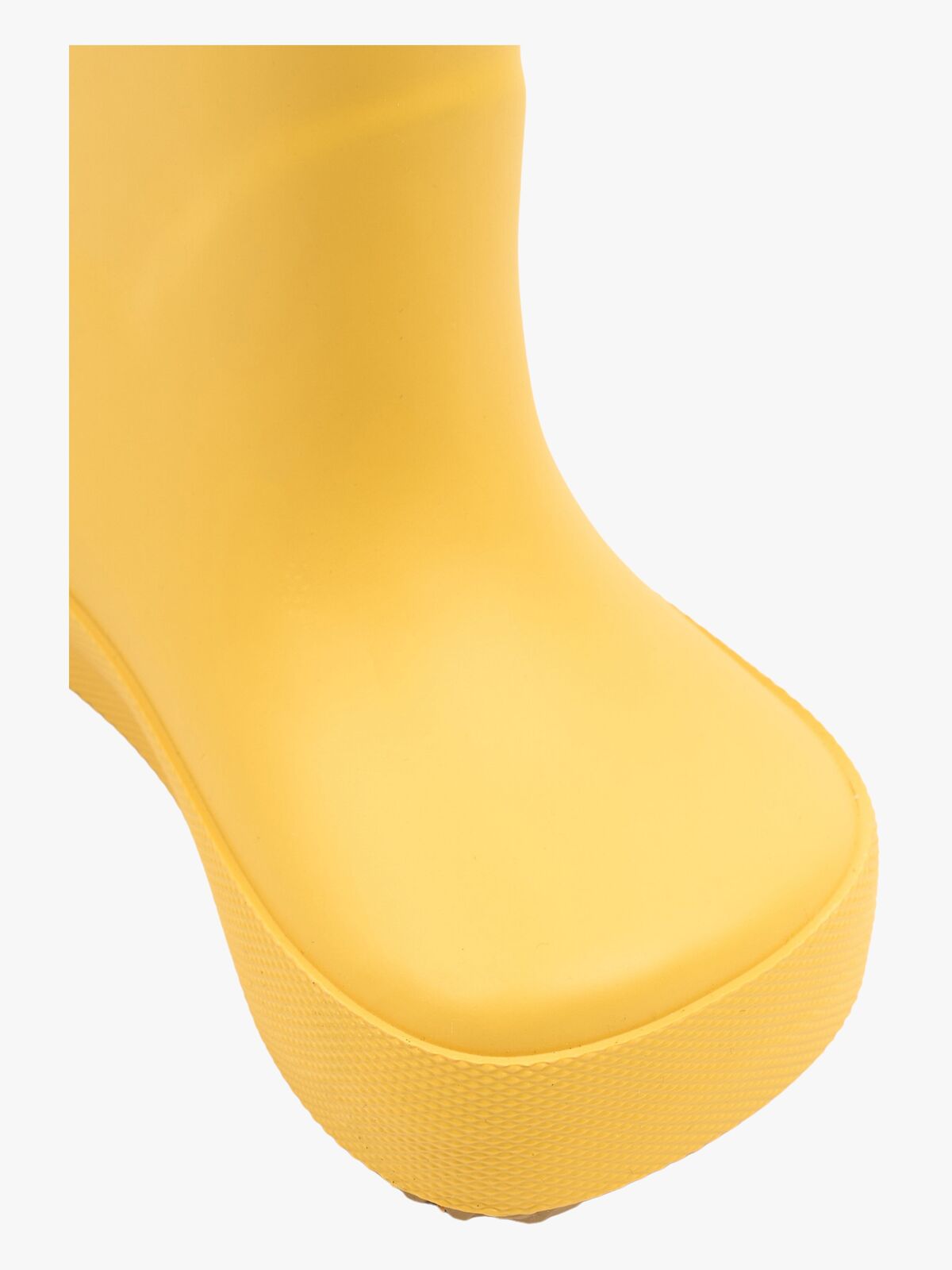 3807-Sunflower-4548_3d.jpg