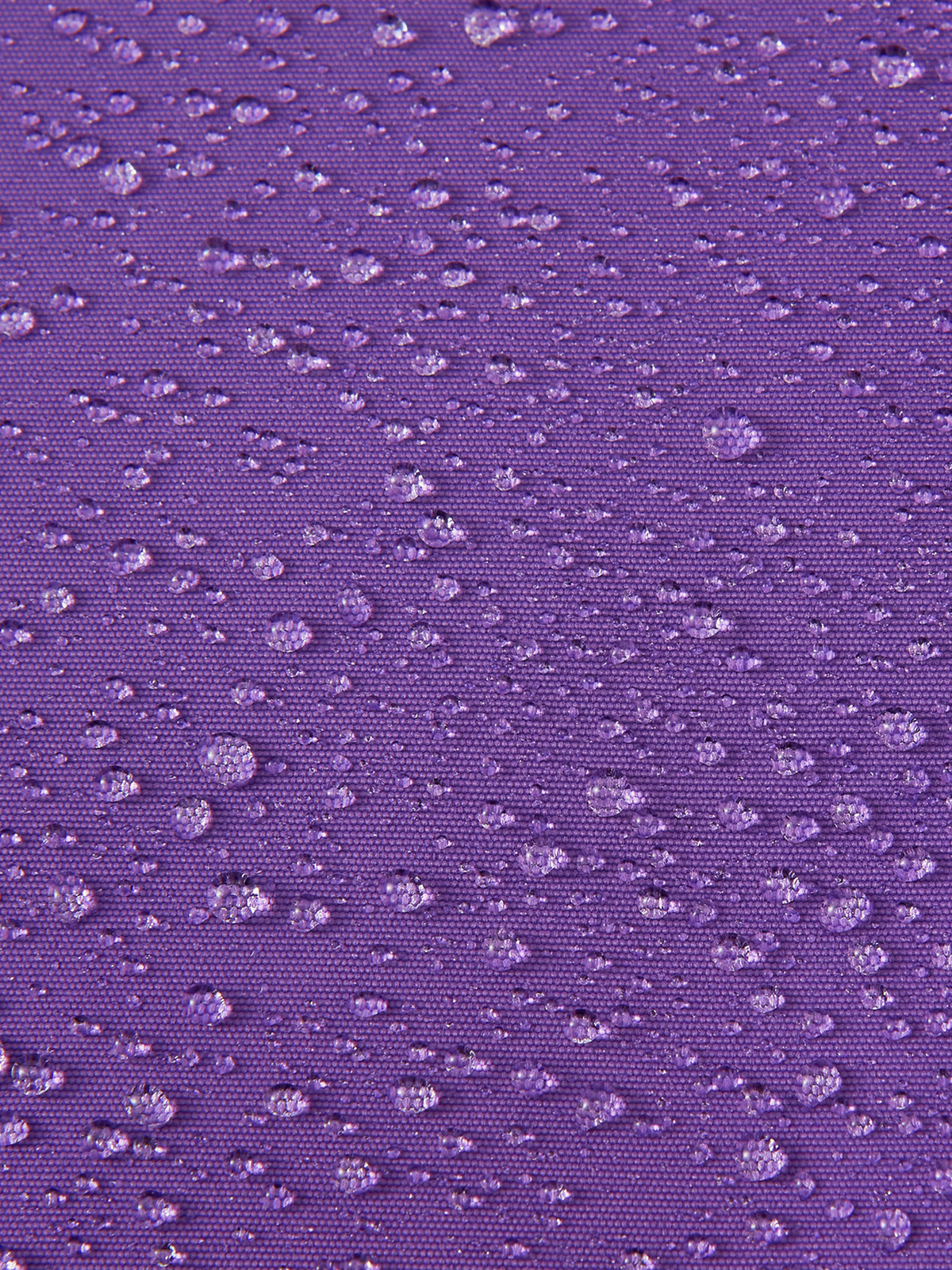 5100088C-5960-1557_4i.jpg