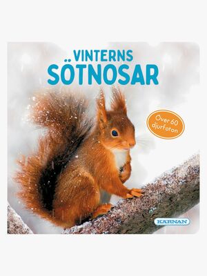 Kärnan Barnbok Vinterns Sötnosar