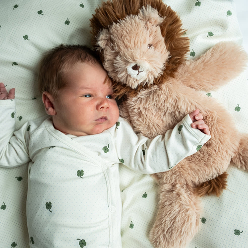 That's Mine Houston Tyngdgosedjur Lejon 0,3 kg