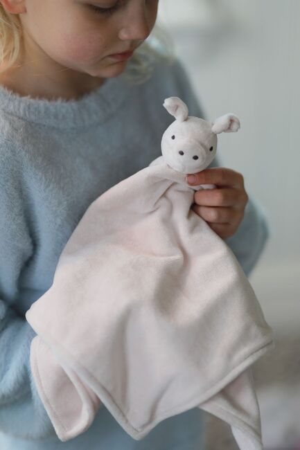 Lotta på bråkmakargatan Bamsen Snuttefilt, Rosa