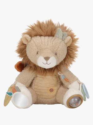 LD8321-lion-4563_1.jpg