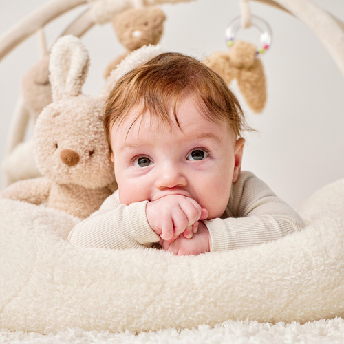 Nattou Teddy Babygym, Ecru