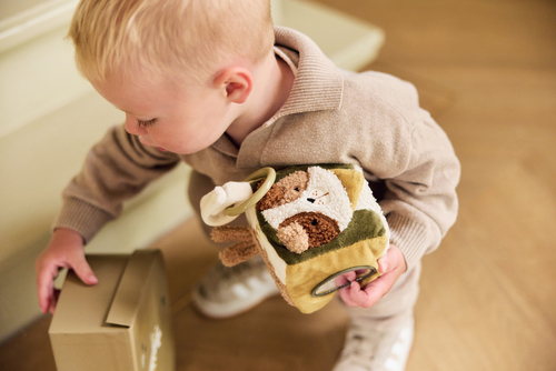 Jollein Multiaktivitetskub, Tiny Park