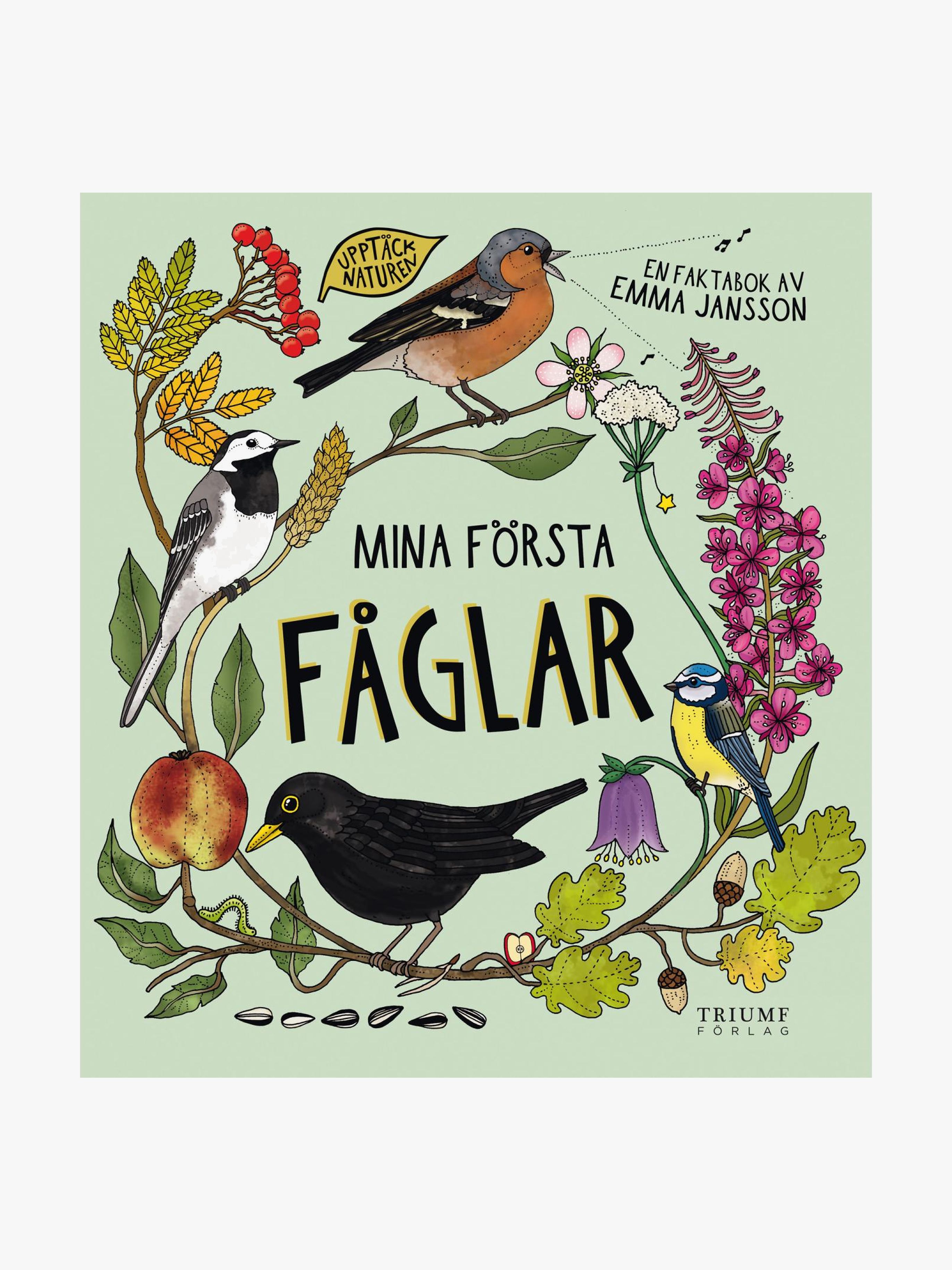 Barthelson Förlag Mina Första Fåglar