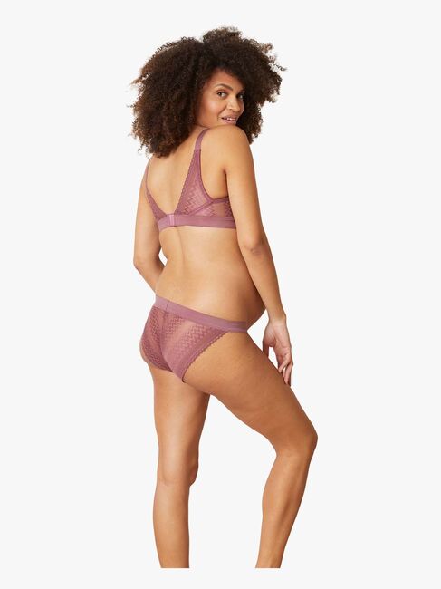 Cache Coeur Serena Gravidtrosa, Plum