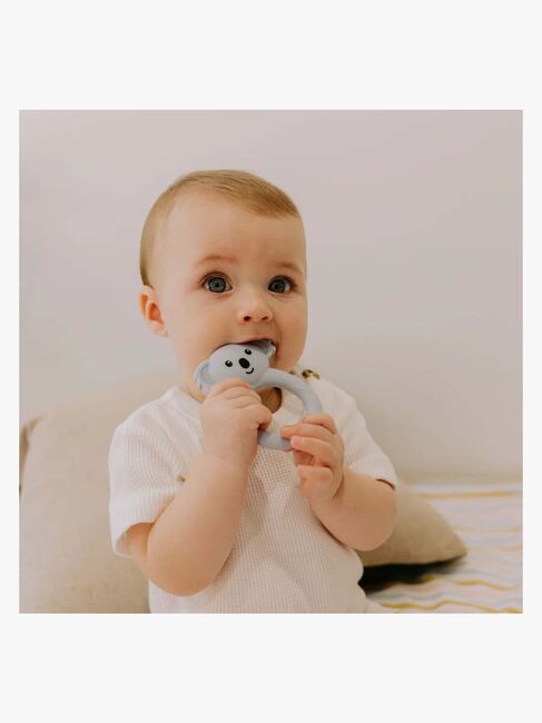 Jellystone Designs  Koala Bitring Silikon, Joey Blue