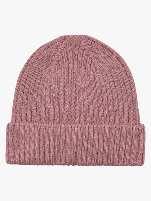 CeLaVi Mössa, Nostalgia Rose