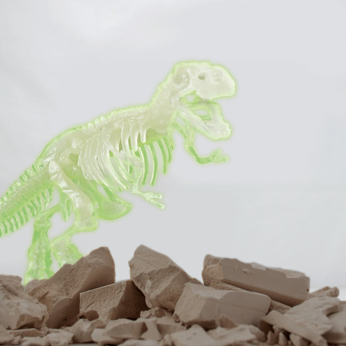 Toyrock Steam Fossilset T-rex Glow In The Dark