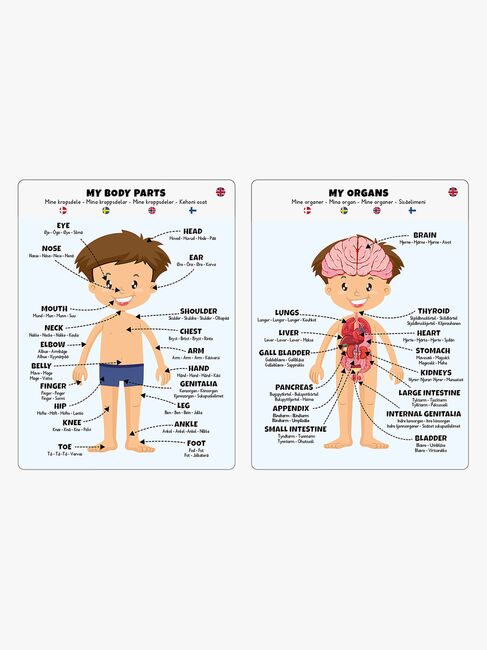 Barbo Toys Body Pussel Pojke 36 Bitar
