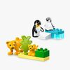 LEGO DUPLO Town 10442 Vilda djurfamiljer: Pingviner och lejon