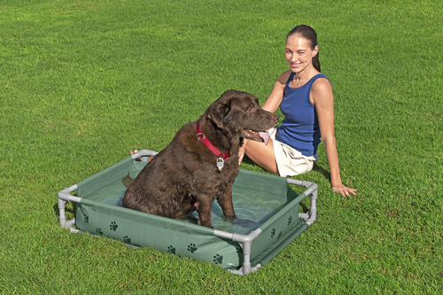 Bestway Djurpool Fetchin' Fun 2-i-1